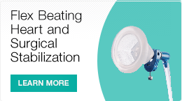 Learn more about Flex Beating Heard and Surgical Stabilization